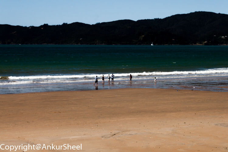 Enjoying the water at Cable Bay