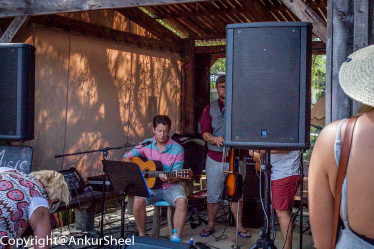 Local Entertainment at Matakana's Farmer market