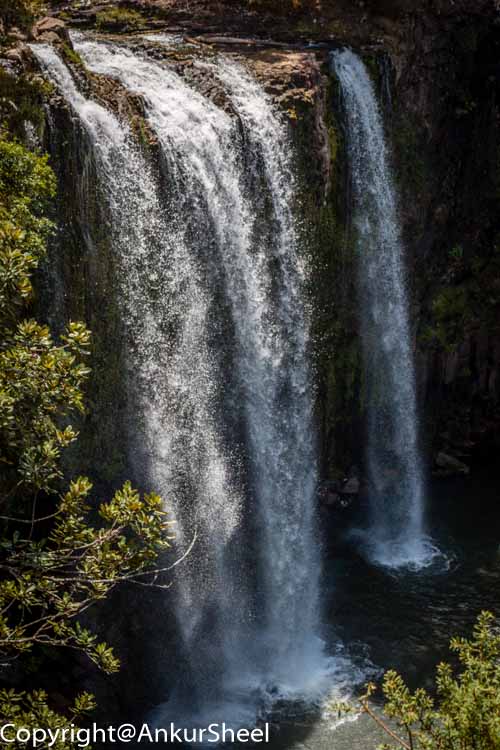 The Whangarei Falls