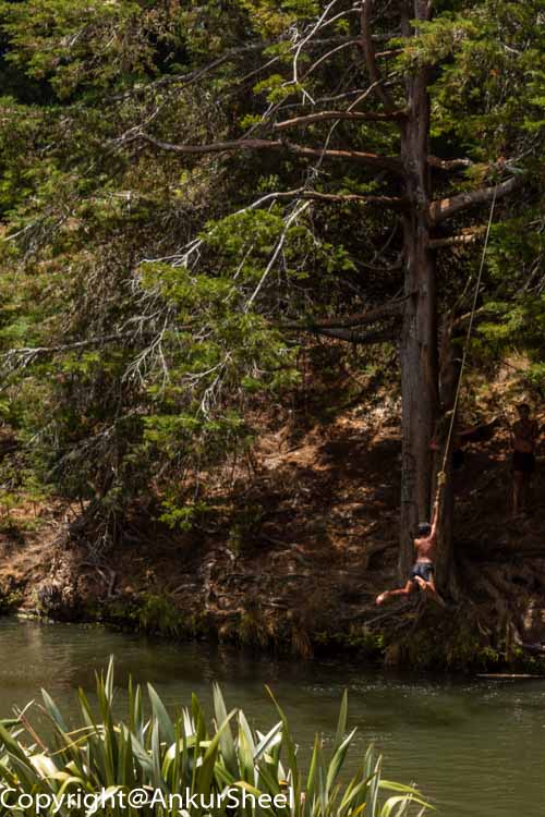 Kids Jumping into the water