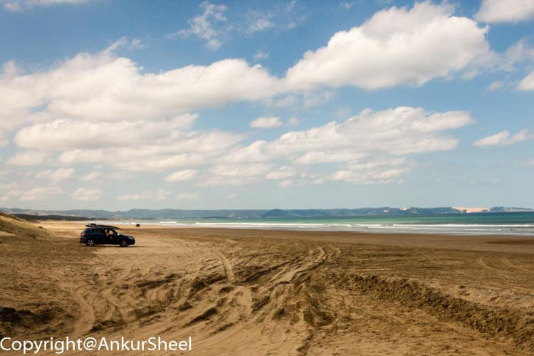 Beach driving anyone?