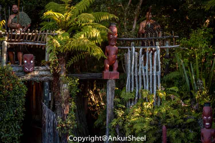 Maori_Village-1