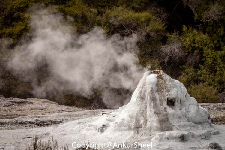 Waiotapu_Thermal_Wonderland-1