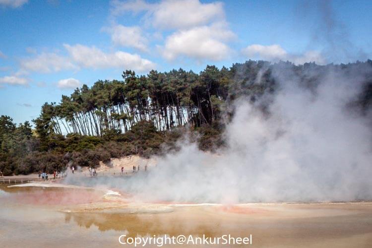 Waiotapu_Thermal_Wonderland-4