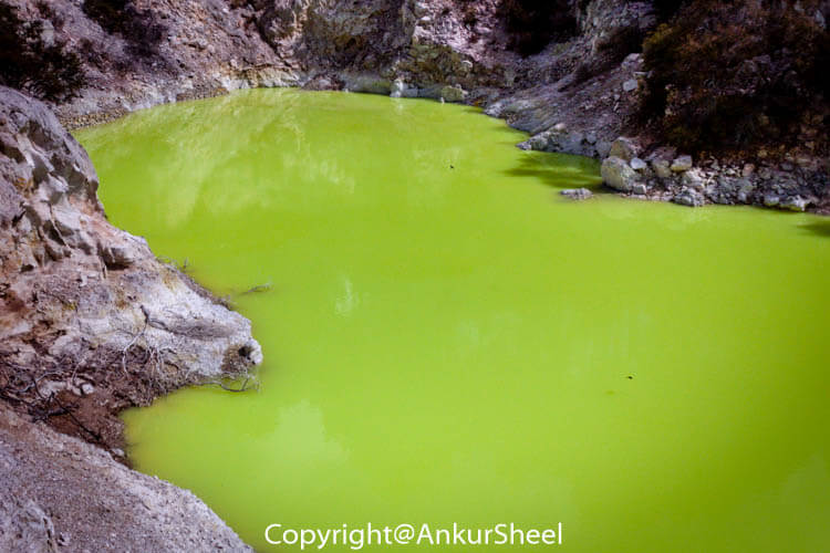 Waiotapu_Thermal_Wonderland-7